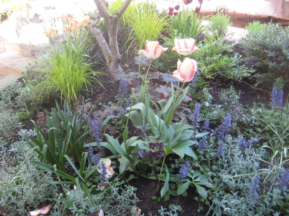 West 28th Garden Setup by Scapes Unlimited - Photo 2