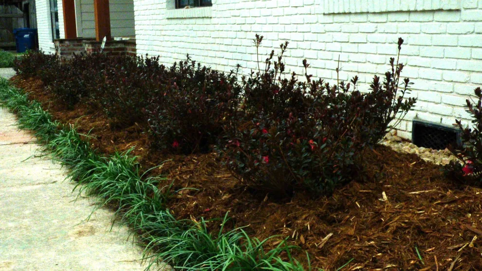 Wittenberg scenery by Lollys Gardening - Photo 4