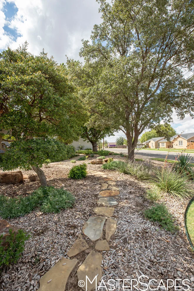 Xeric Garden Designs by MasterScapes - Photo 2