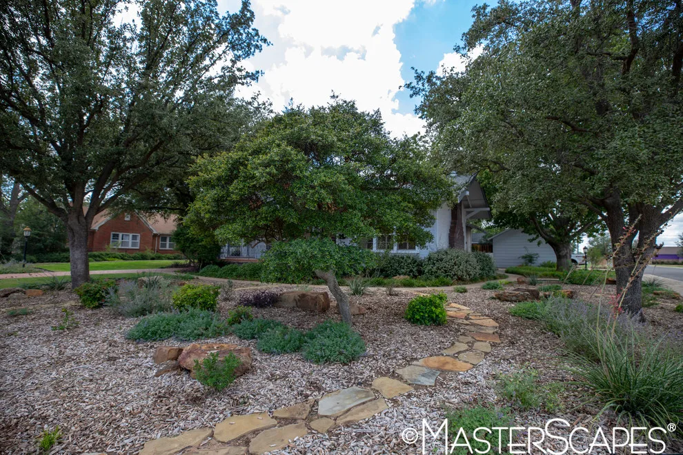 Xeric Garden Designs by MasterScapes - Photo 3