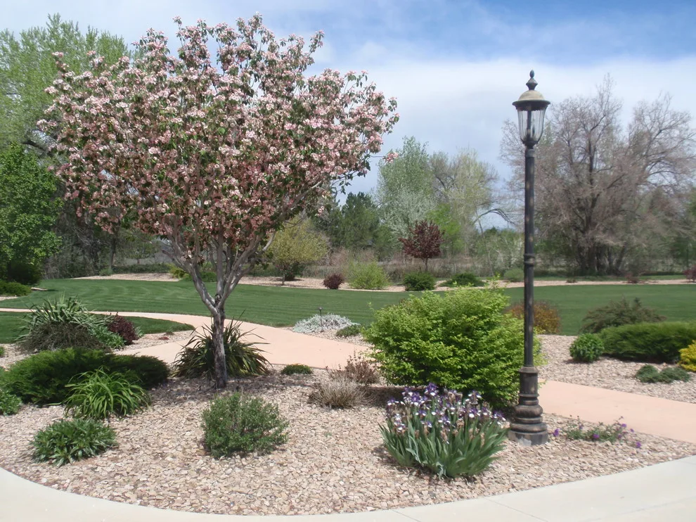 MB Landscaping LLC - Photo 13