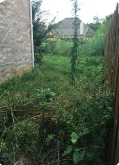 Precision Lawn & Landscaping, LLC - Photo 8