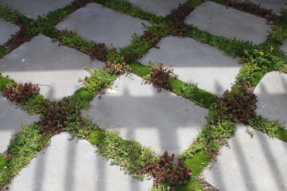 Santa Ynez Ranch by Carson Douglas Landscape Architecture - Photo 46