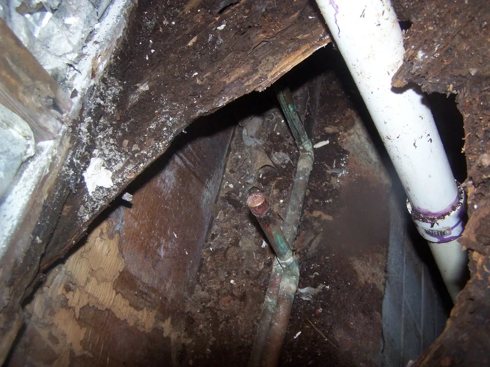 1st Quality Construction LLC - Photo 14