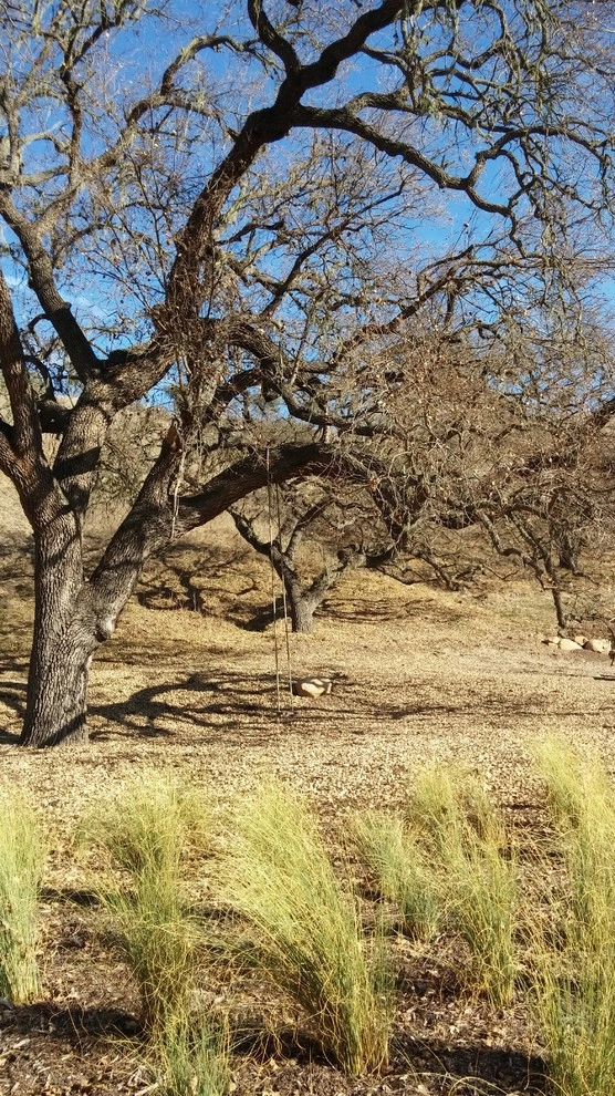 Santa Ynez Ranch by Carson Douglas Landscape Architecture - Photo 19