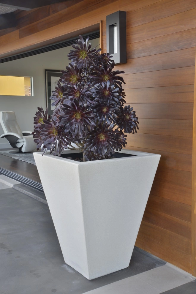 Muirlands Project by Carson Douglas Landscape Architecture - Photo 30