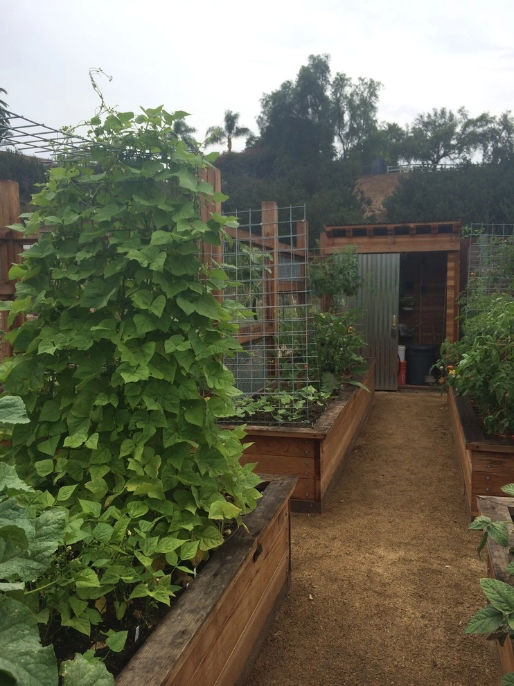 Vegetable Structure Rancho Santa Fe by Carson Douglas Landscape Architecture - Photo 16