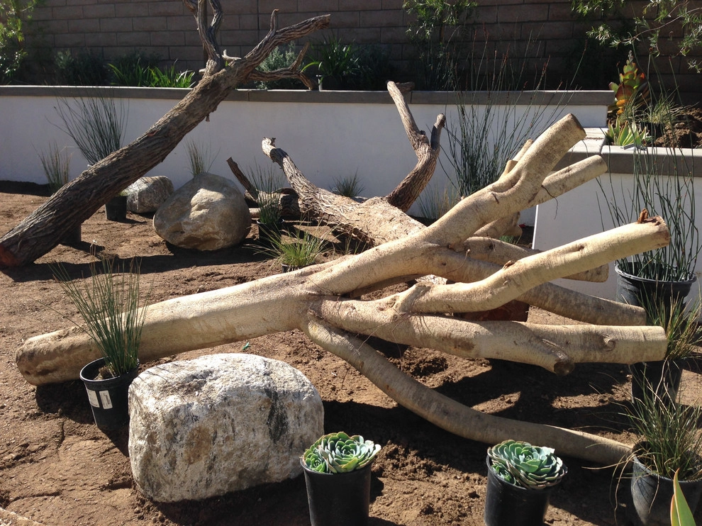 Encinitas Renovation by Carson Douglas Landscape Architecture - Photo 6