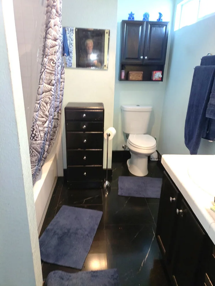 McDonald Master Bathroom Closet Transformation by Bridges Const. - Photo 8