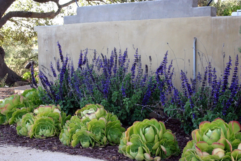 Southern California Vineyard by Carson Douglas Landscape Architecture - Photo 38