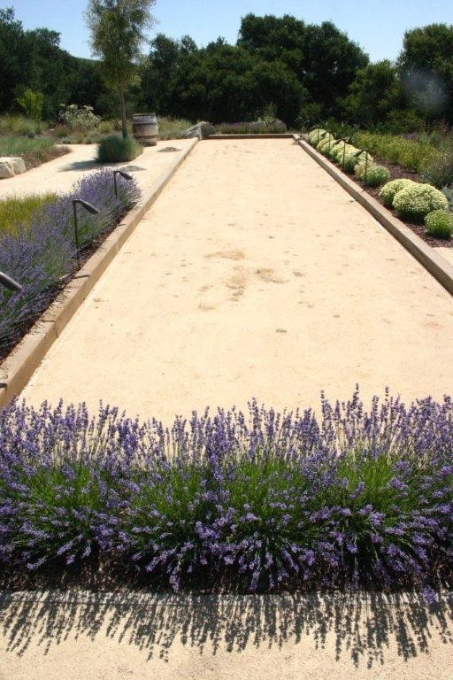 Southern California Vineyard by Carson Douglas Landscape Architecture - Photo 34