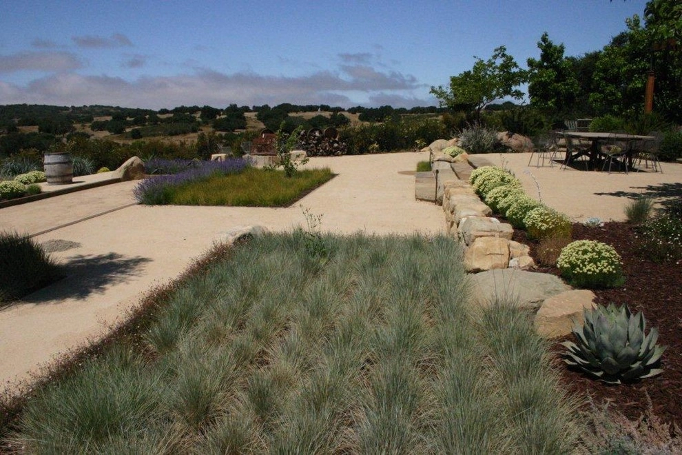 Southern California Vineyard by Carson Douglas Landscape Architecture - Photo 2