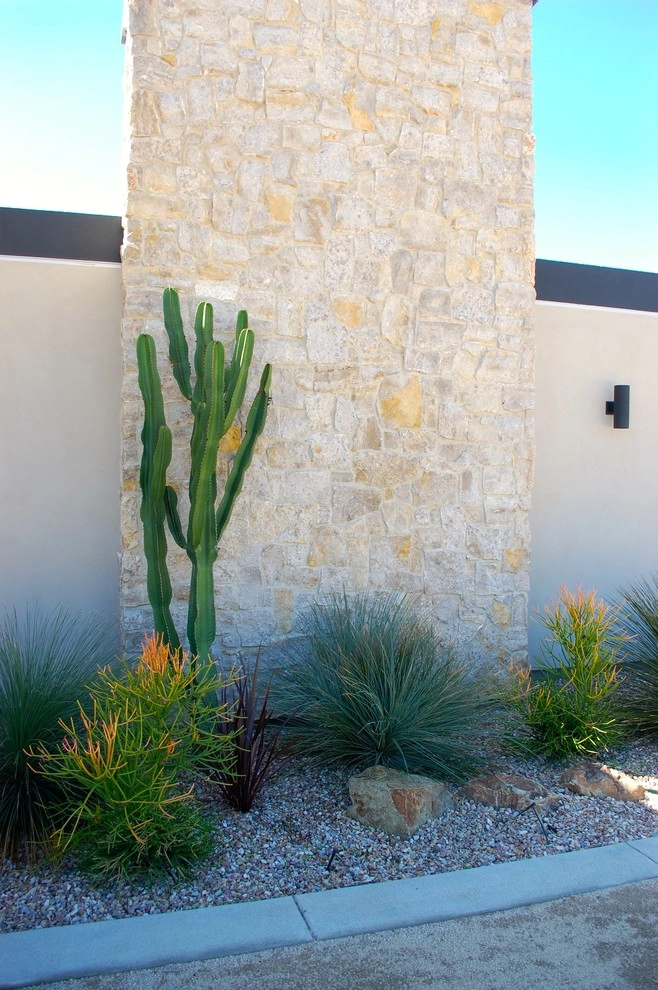 Modern Drought Tolerant by Carson Douglas Landscape Architecture - Photo 20