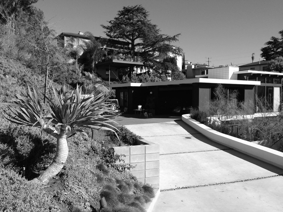 Shayan House by Carson Douglas Landscape Architecture - Photo 2