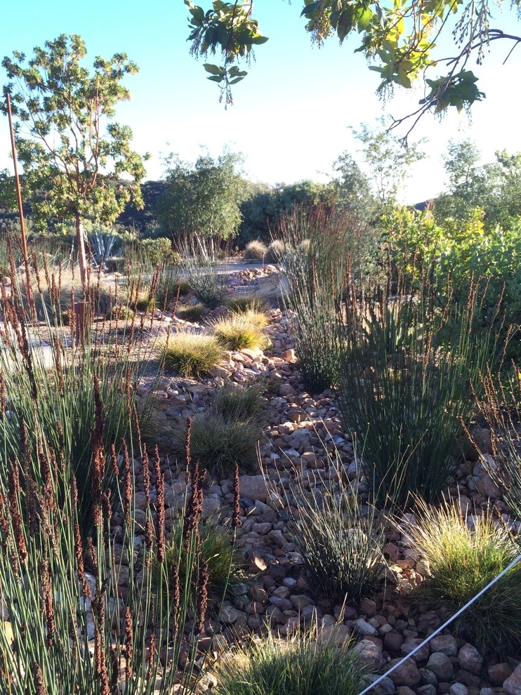 Alpine Special Event Site by Carson Douglas Landscape Architecture - Photo 8
