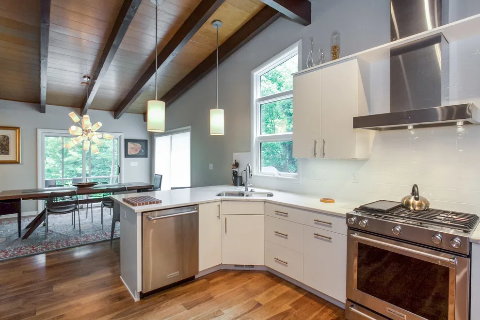 Mid-Century Modern Revamp by Gary Frakes Construction - Photo 19