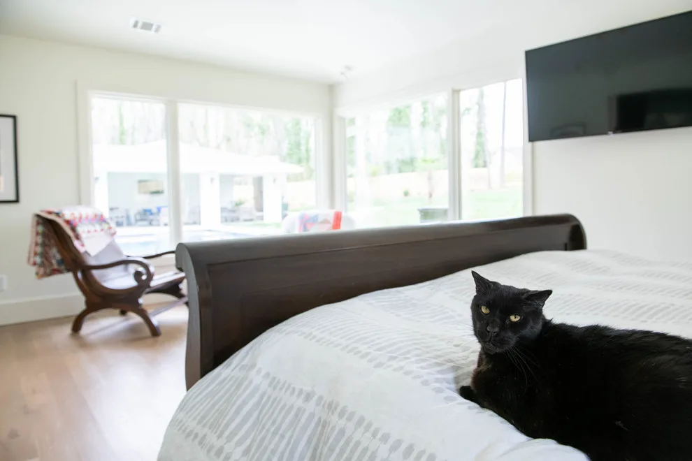 Georgia's Midcentury Modern Design by Level Craft Construction - Photo 10