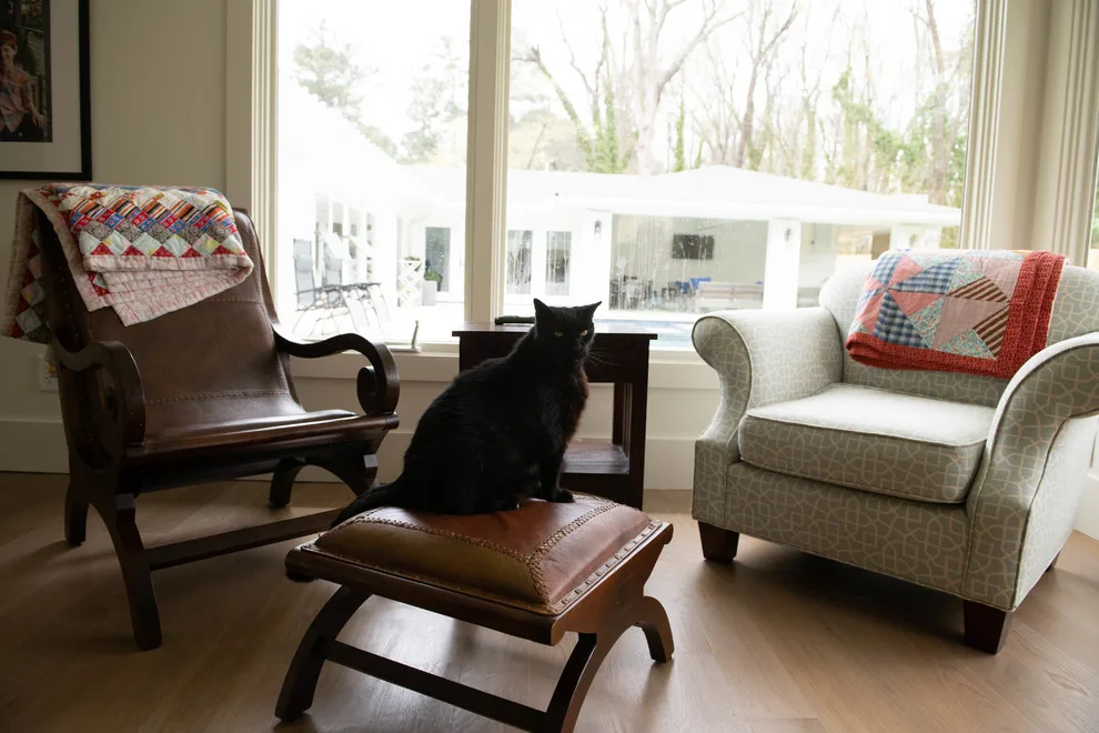 Georgia's Midcentury Modern Design by Level Craft Construction - Photo 21