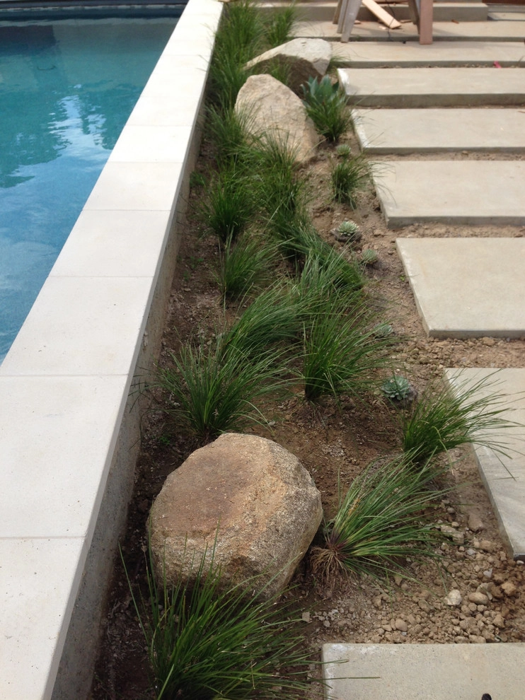 Muirlands Project by Carson Douglas Landscape Architecture - Photo 15