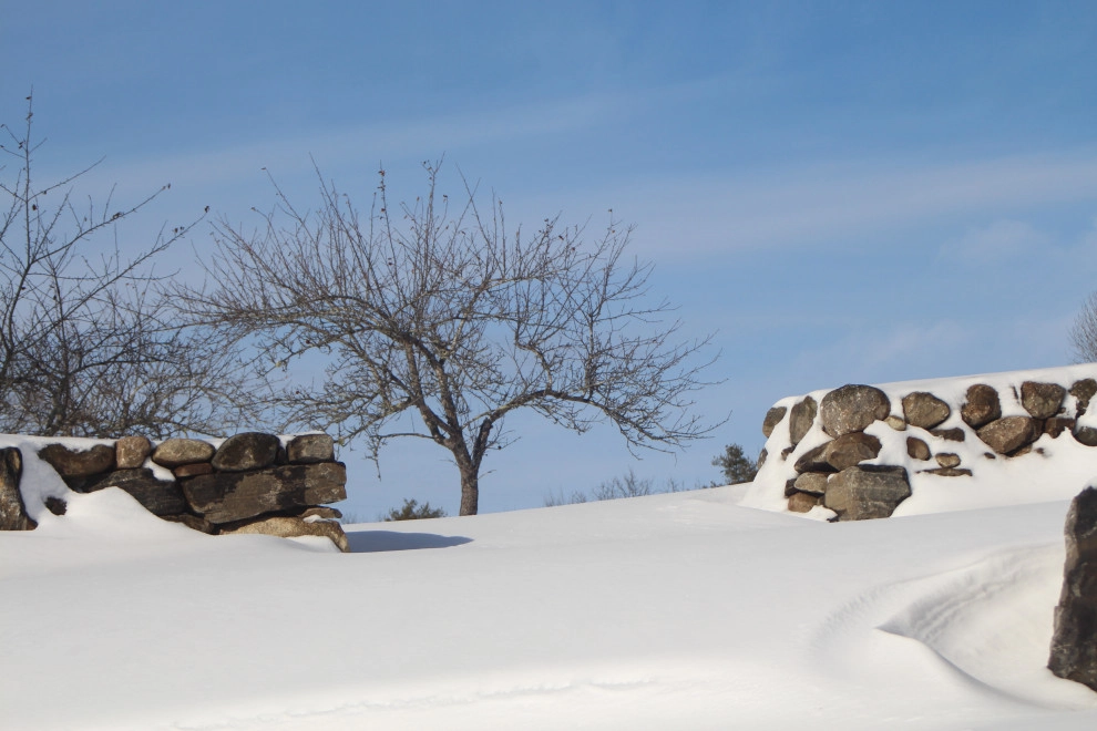 Stoneview Spa by Carson Douglas Landscape Architecture - Photo 7