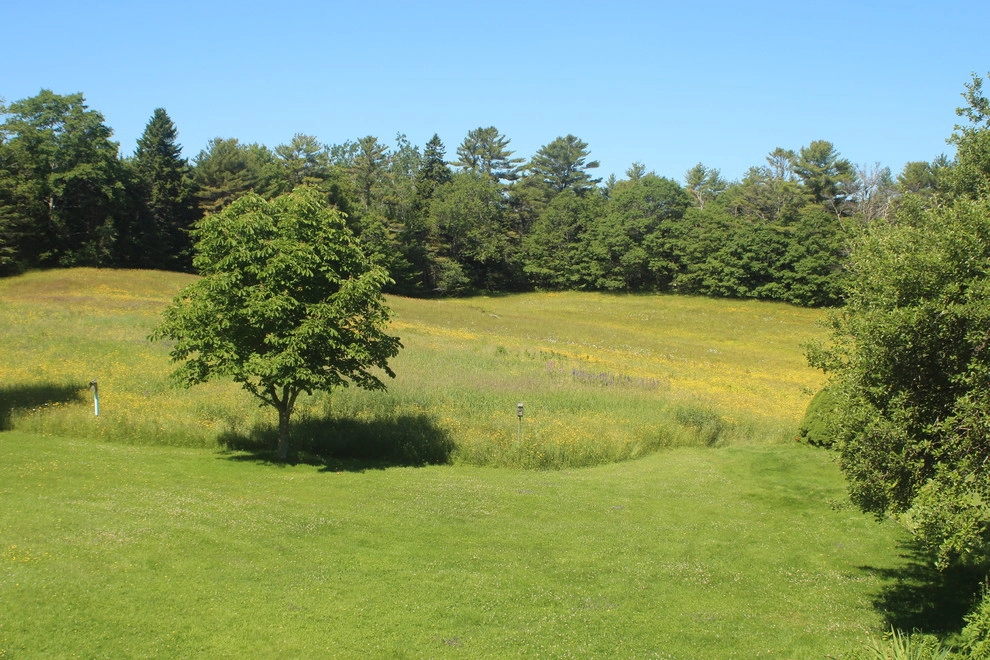 East Coast Office by Carson Douglas Landscape Architecture - Photo 18
