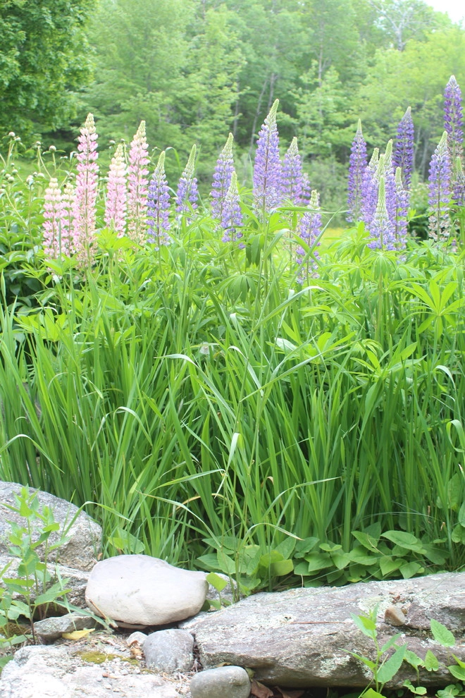 East Coast Office by Carson Douglas Landscape Architecture - Photo 16