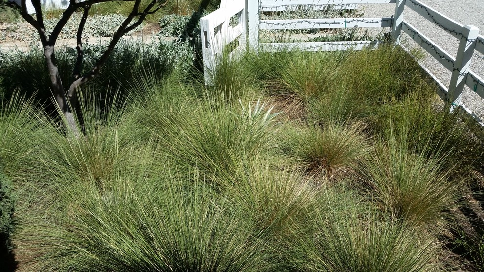 The Watering Hole by Carson Douglas Landscape Architecture - Photo 2