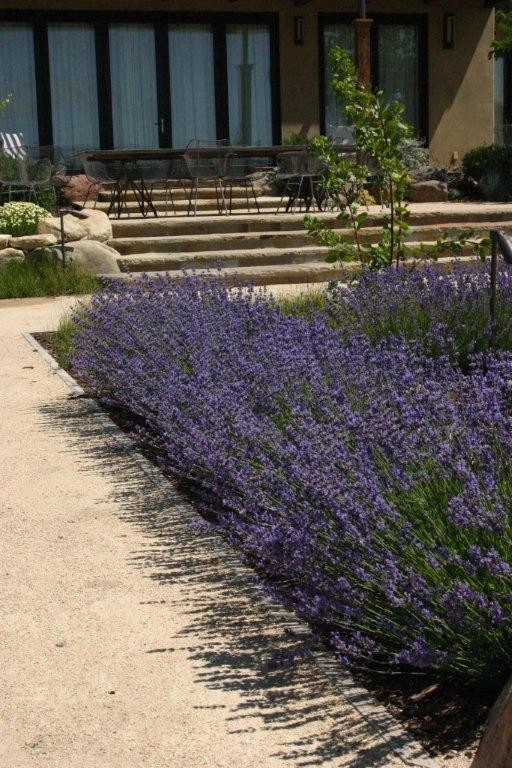 Southern California Vineyard by Carson Douglas Landscape Architecture - Photo 28