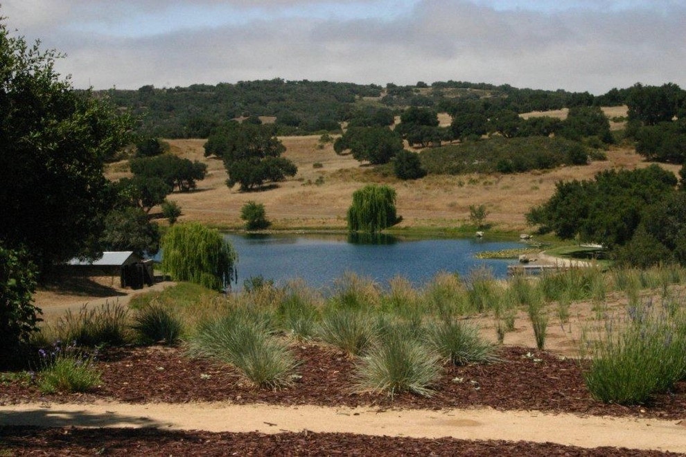 Southern California Vineyard by Carson Douglas Landscape Architecture - Photo 23