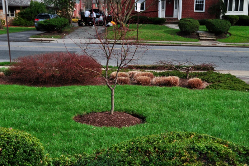 Groundscape, INC - Photo 2