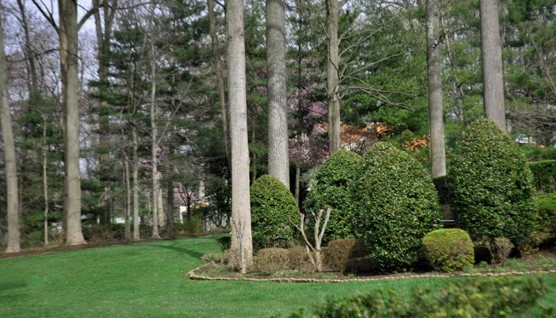 Groundscape, INC - Photo 7