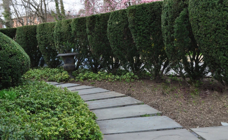 Groundscape, INC - Photo 5