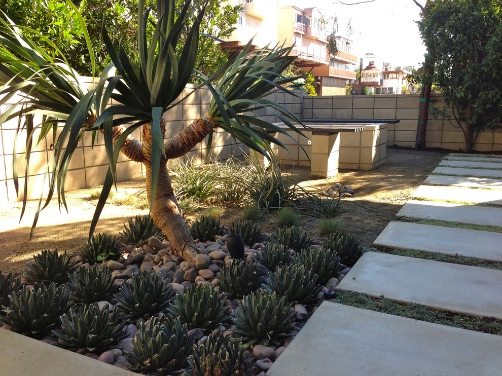 Shayan House by Carson Douglas Landscape Architecture - Photo 4
