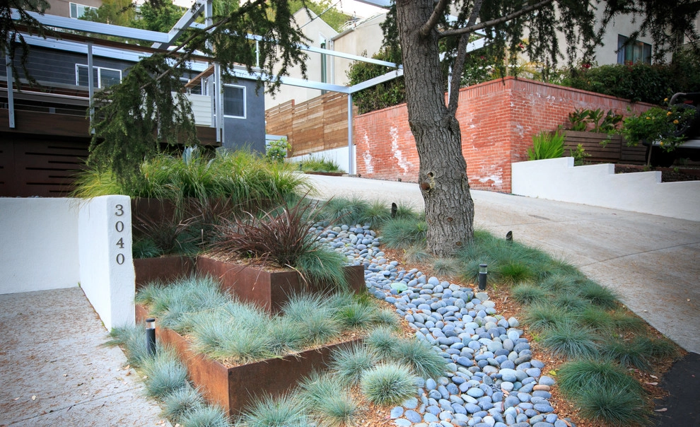 Brant San Diego by Carson Douglas Landscape Architecture - Photo 13