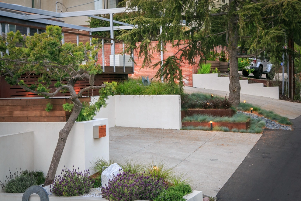 Brant San Diego by Carson Douglas Landscape Architecture - Photo 6