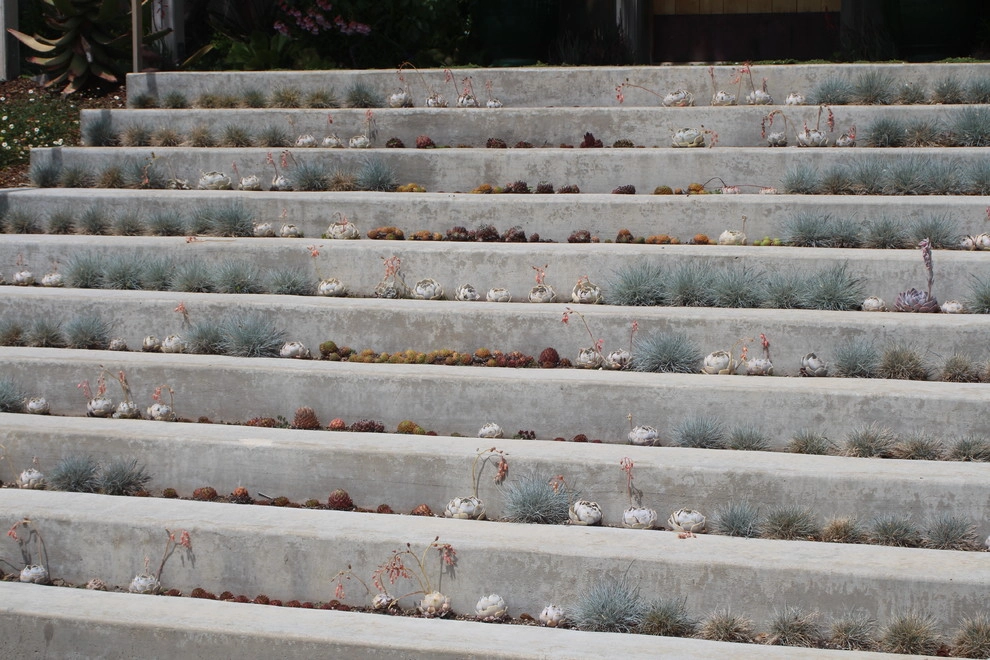 Santa Ynez Ranch by Carson Douglas Landscape Architecture - Photo 39