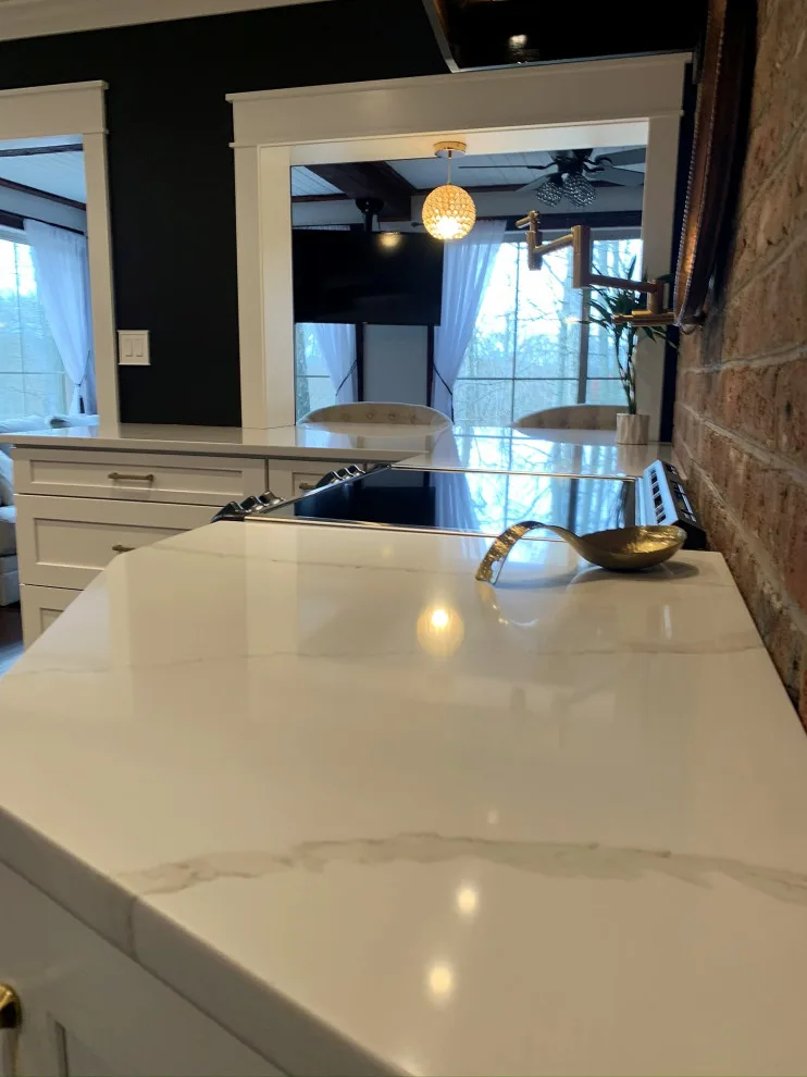 Contemporary Elegant Kitchen by Technically Aesthetic General Contractors - Photo 19