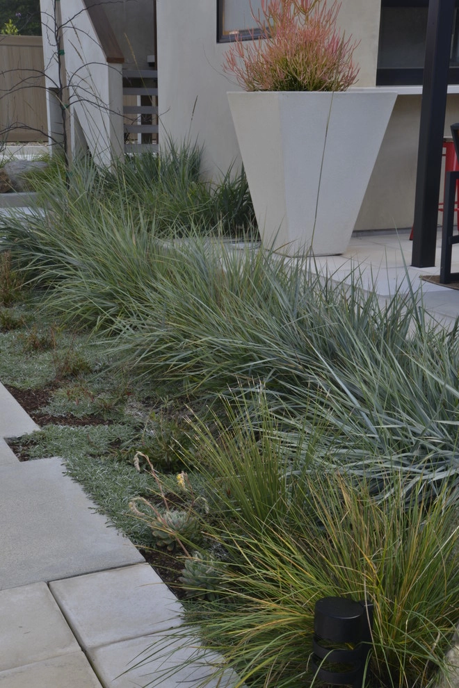 Muirlands Project by Carson Douglas Landscape Architecture - Photo 33