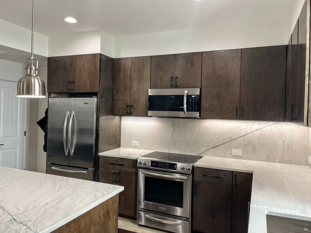 Contemporary Kitchen Renovation by Jonestar Construction - Photo 7