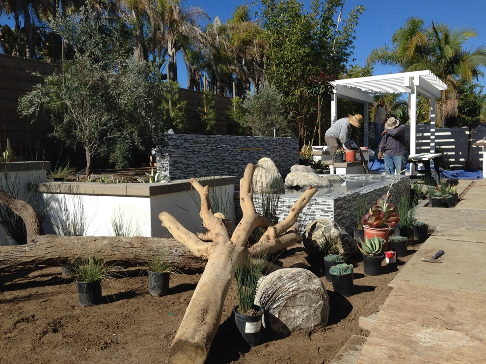 Encinitas Renovation by Carson Douglas Landscape Architecture - Photo 2
