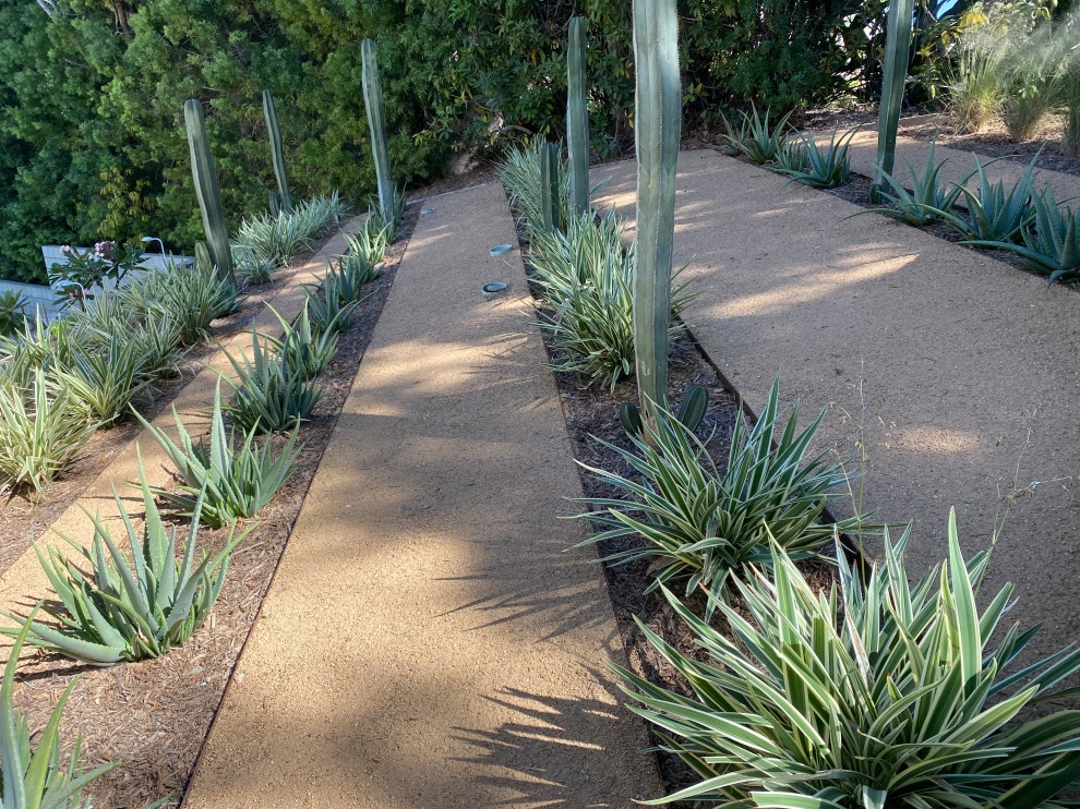 Coming full circle by Carson Douglas Landscape Architecture - Photo 4