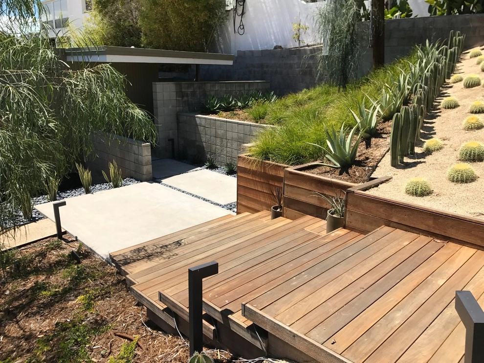 Birdrock Midcentury by Carson Douglas Landscape Architecture - Photo 2