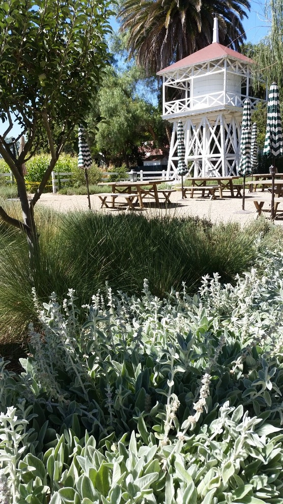 The Watering Hole by Carson Douglas Landscape Architecture - Photo 4