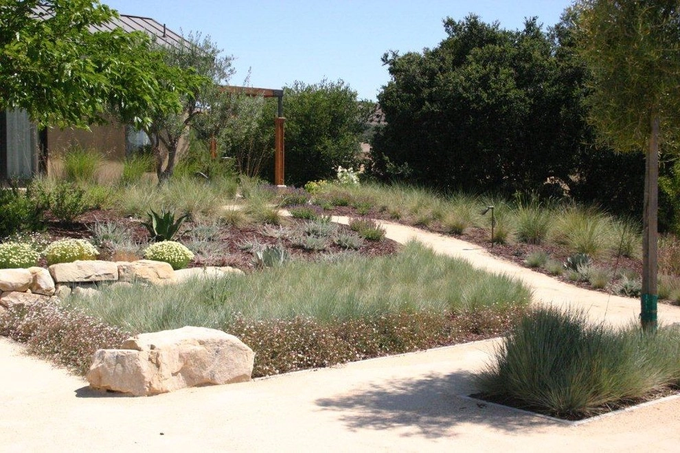 Southern California Vineyard by Carson Douglas Landscape Architecture - Photo 8