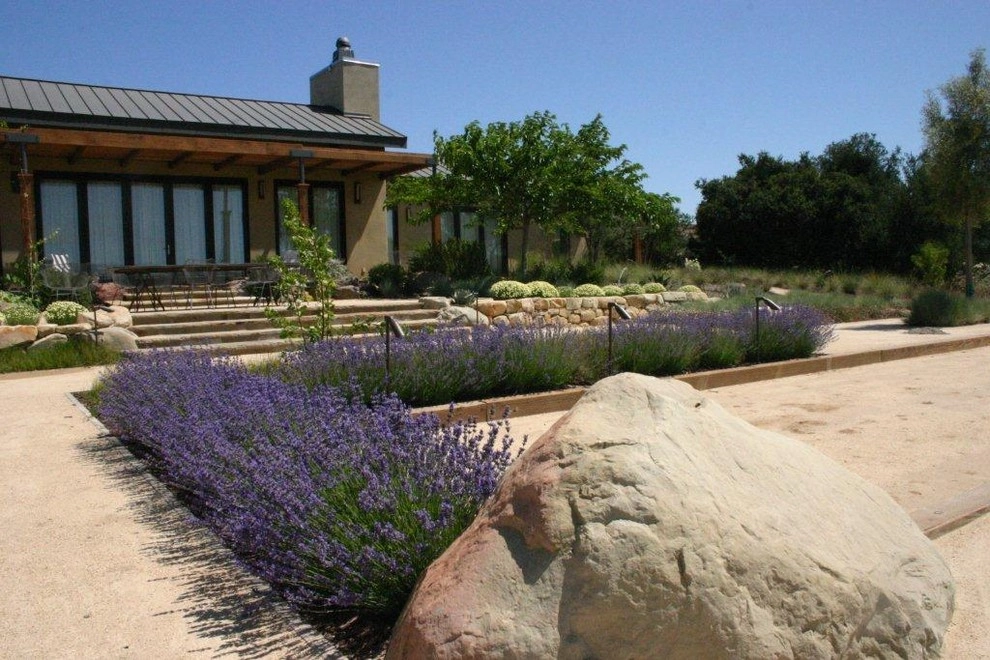 Southern California Vineyard by Carson Douglas Landscape Architecture - Photo 24
