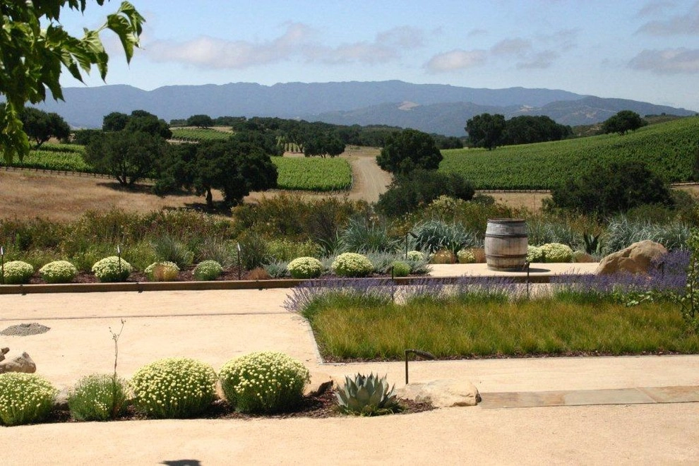 Southern California Vineyard by Carson Douglas Landscape Architecture - Photo 32
