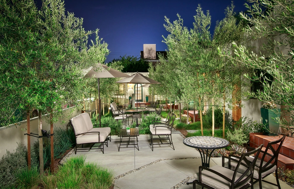 Alcazar Court by Carson Douglas Landscape Architecture - Photo 3