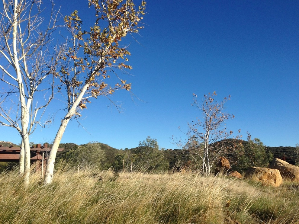 Alpine Special Event Site by Carson Douglas Landscape Architecture - Photo 7