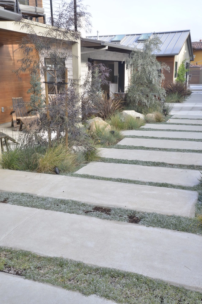 Muirlands Project by Carson Douglas Landscape Architecture - Photo 25