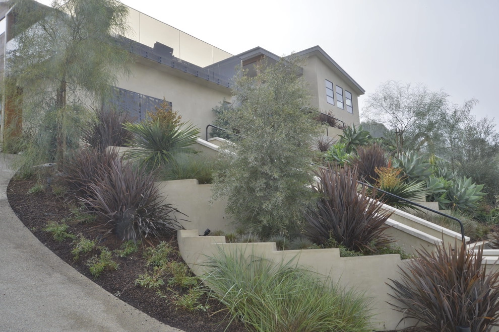 Muirlands Project by Carson Douglas Landscape Architecture - Photo 32